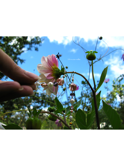 Красивые длинные серьги "Хрустальная роса"