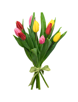 Тюльпаны простой микс