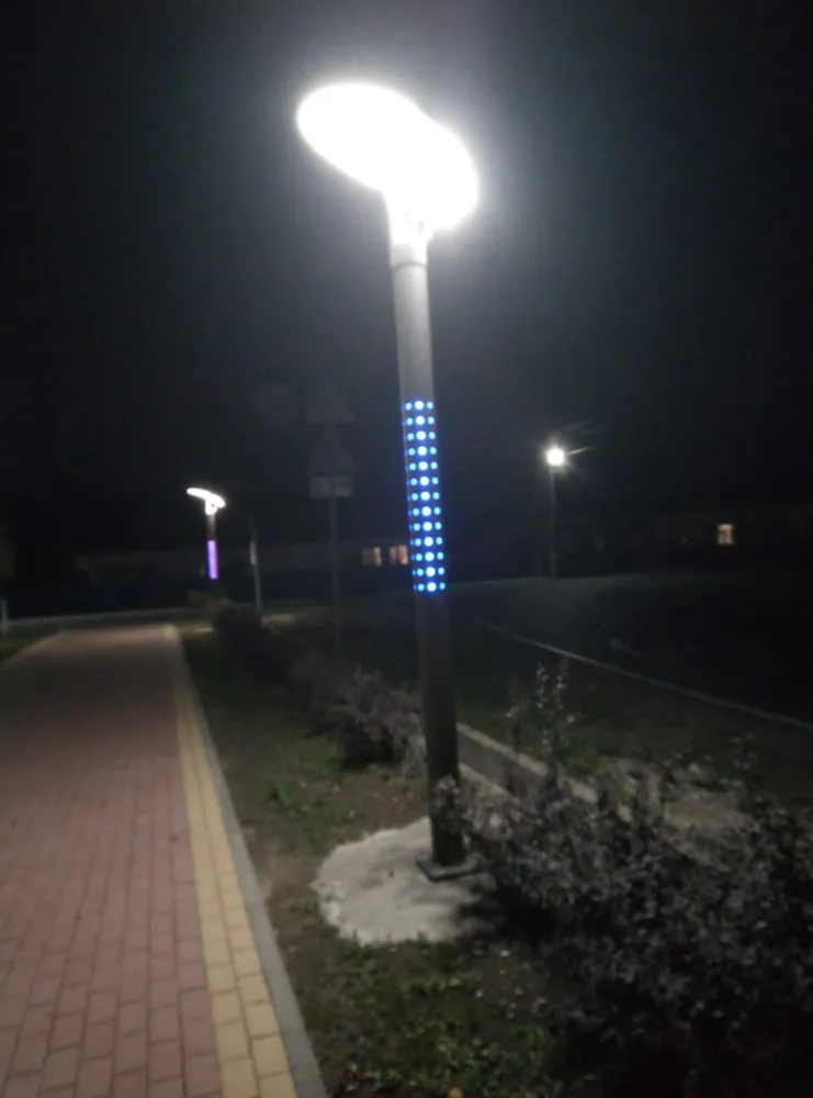 Парковое  освещение Дружненского сельского поселения 