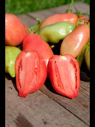 Томат Брикодейки Минусинские, 10 шт