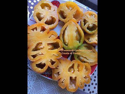 Томат Огненный гребень (охра) (Cresta di Fuoko)