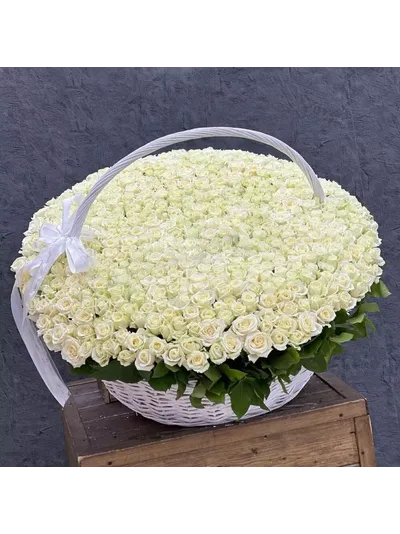 501 белая роза в корзине