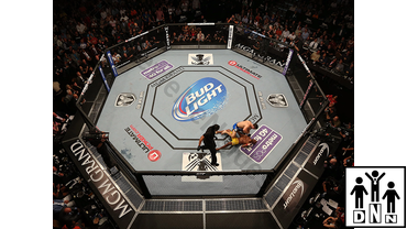 октагон цена