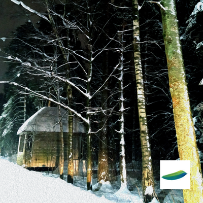 Интерьерный постер «Зимняя сказка» из коллекции «Зимушка-зима».