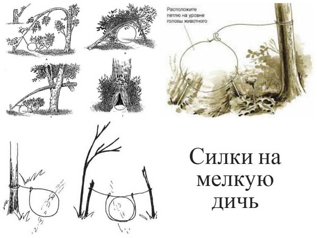 Ловушка на кабана из трубы с тросиком чертежи