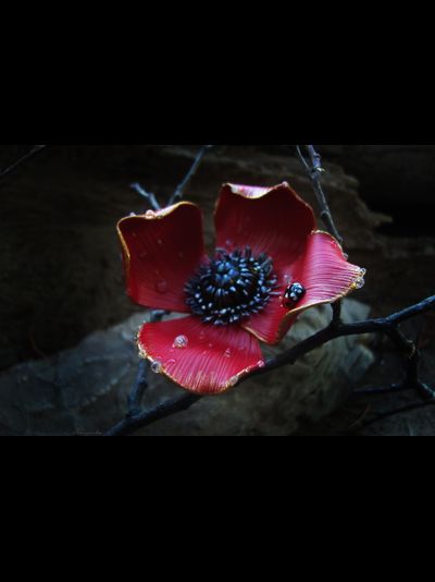 &quot;Волшебный мак Весенницы&quot;, нарядная брошь с божьей коровкой и капельками