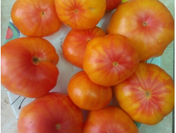 Томат Желтый камень (Yellow Stone)