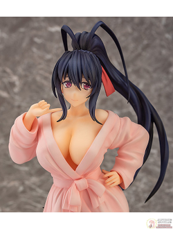 Фигурка 1/7 Акэно Химэдзима (Himejima Akeno)