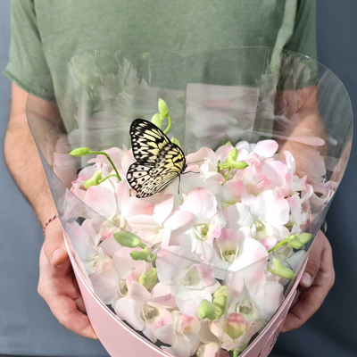 Нежный букет с орхидеями и бабочкой №114