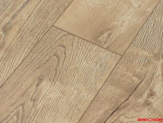 Сосна Княжеская