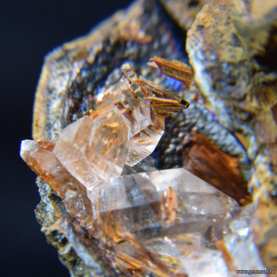 Гипс и псиломелан в полости ракушки. 60*47*50мм