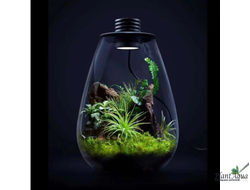 Биобутылка Biolark LED SD175 (175мм х 230мм)