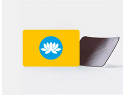 Магнит виниловый Калмыкия