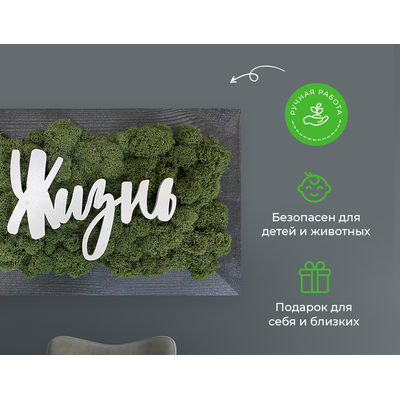 ЖИВАЯ ЭКО-КАРТИНА 1049