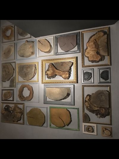 декор стены из спилов галерея