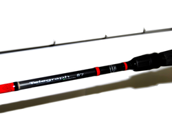 Telegraph 8/7 "Даюй" 10-40g 2,65m