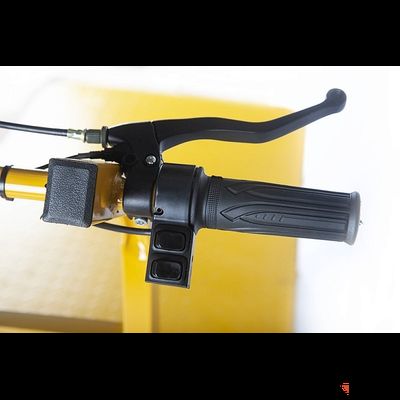 Платформенная тележка электрическая RuTrike ПЛИТА 2000