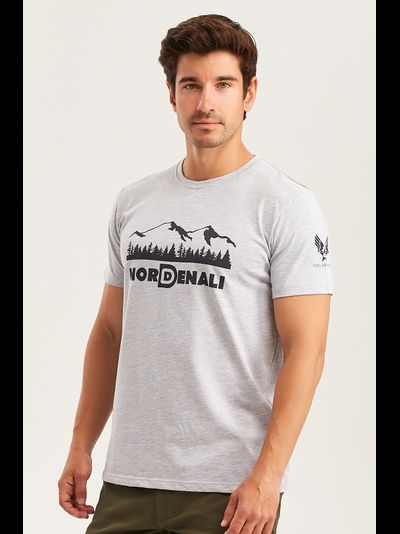 Футболка мужская DENALI BASIC Grey melange