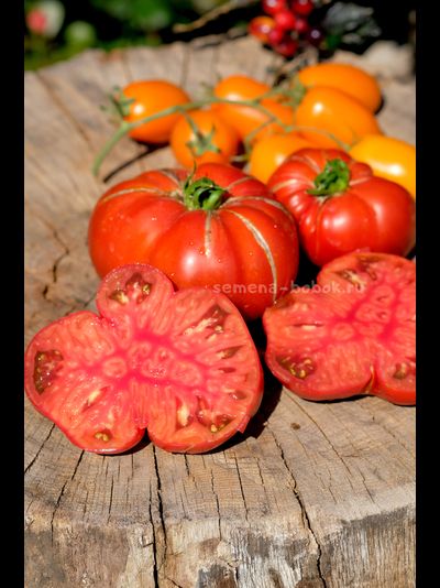 Томат Ярсон 22 (Jarson 22), 10 шт