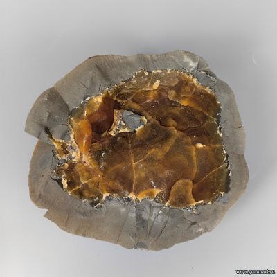 Септария кальцит медовый