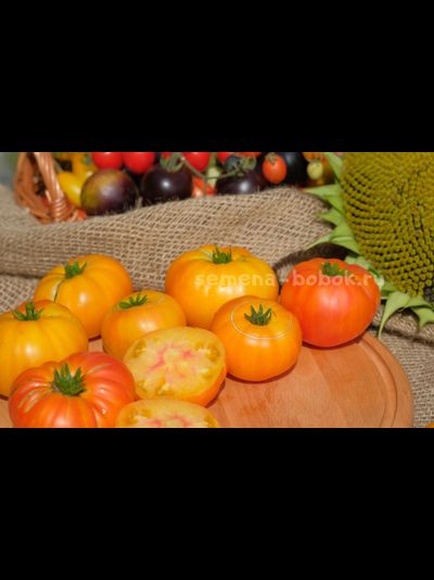 Томат Dwarf Wherokowhai (Гном Фероковкай), 10 шт