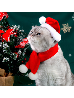 Новогодний колпак с шарфом для собак и кошек