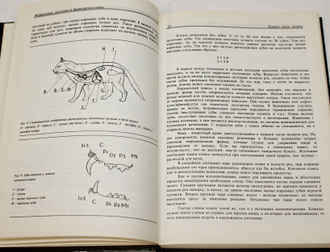 Пинтера А. Кошки, коты, котята. М.: Экоцентр - Вниро. 1993г.