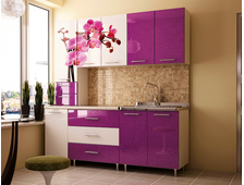 Набор мебели для кухни "Элегия-5.10"