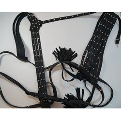 Шлея выездная