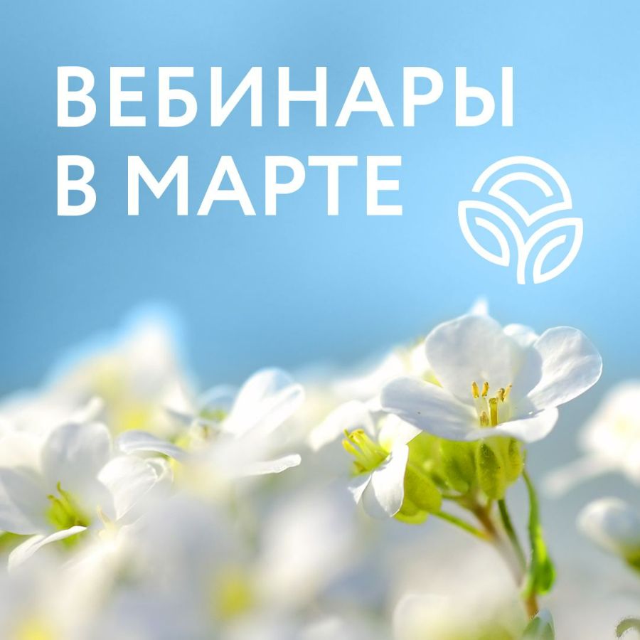 Вебинары NSP в марте