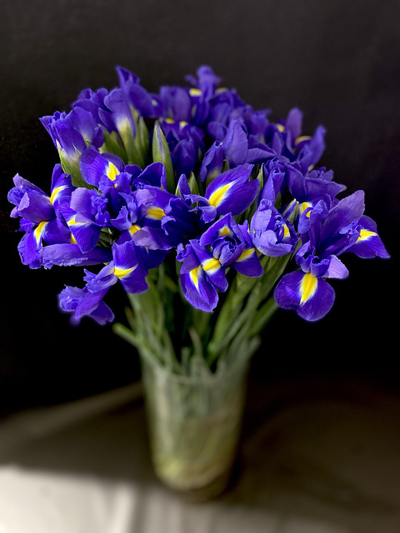 Ирисы 51 шт