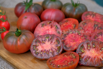 Томат Dwarf PPI (Гном ППИ), 10 шт