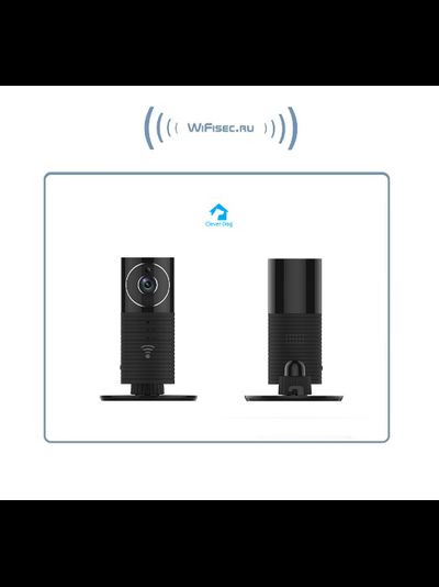 CleverDog, WiFi панорамная видеокамера 180*/160* с DVR, HD 960p