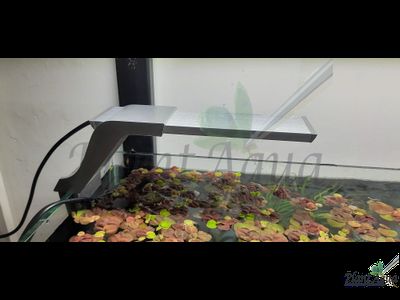 Cветильник светодиодный Gloxy Optic LED Pro