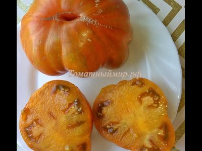 Томат Kozula 179 (Zebra Zolta /Volta , Польша)