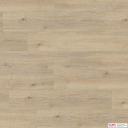 Декор ламината Haro Tritty 100 Campus Дуб Контура Каменно-Серый 532066 фронт