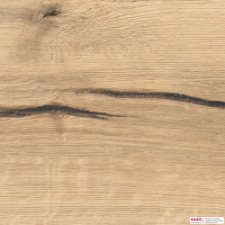 Декор ламината Haro Tritty 100 Campus Дуб Италика кремовый 532060 структура