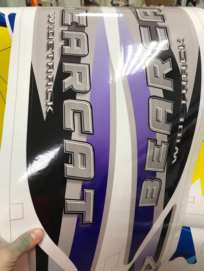 Arctic Cat 2004 Bearcat 660 #2256