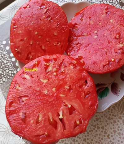 Томат Казан