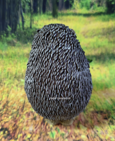 ЁЖИК С ЯБЛОЧКАМИ  15*10см  0,4кг   полистоун Россия 672/012432   Ежик - символ защиты и удачи. Защищайте свой дом и участок с помощью этих милых зверьков.