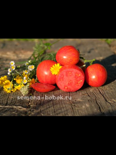 Томат Воловье сердце полосатое, 10 шт.