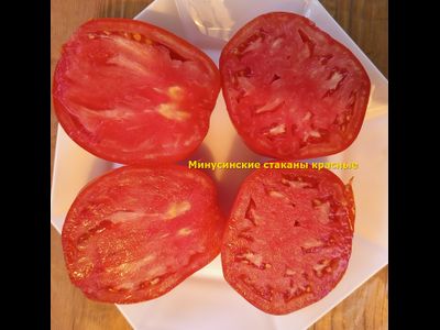 Томат Минусинские стаканы красные
