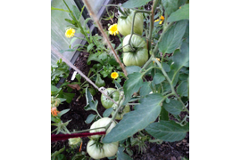 Сердце Ашхабада, 21 июля