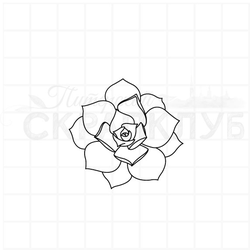 ФП штамп "Цветок Эониума"