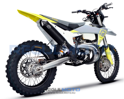 Regulmoto NIBBI TE N300-SR 2T