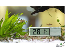 Термометр SwetAqua Crystal CS-211