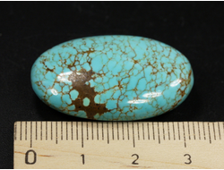 Бирюза, полировка плоская, США, Невада (33*22*10 мм, 8,5 г) №37840