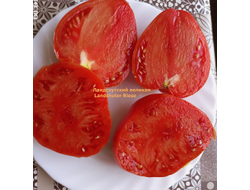 Томат Ландсхутский великан (Landshuter Riese, Германия)