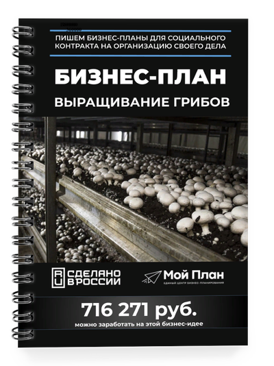 Бизнес-план для социального контракта в 2022 г. Ниша: Выращивание грибов. Форма: Самозанятость.