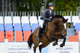 Обучение конкуру и выездке